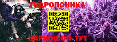 амф Обнинск
