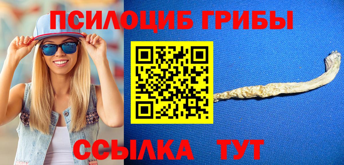 Псилоцибиновые грибы MAGIC MUSHROOMS  купить  цена  Учалы  Псилоцибиновые грибы ЛСД  Вход с VPN 